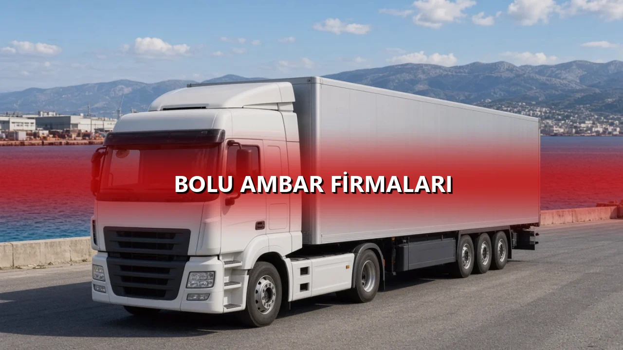 Bolu Ambar Firmaları